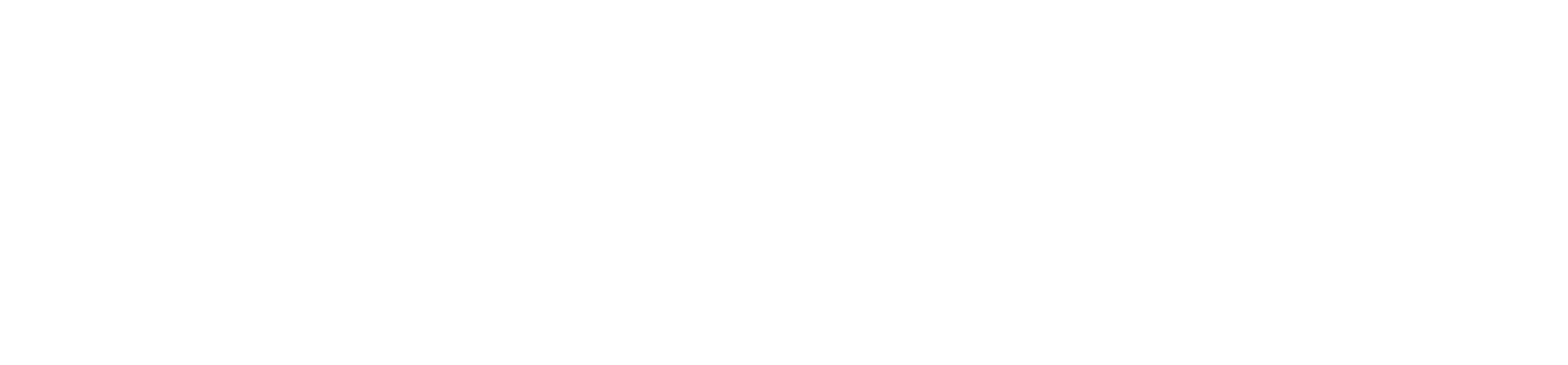 Partner logo 19